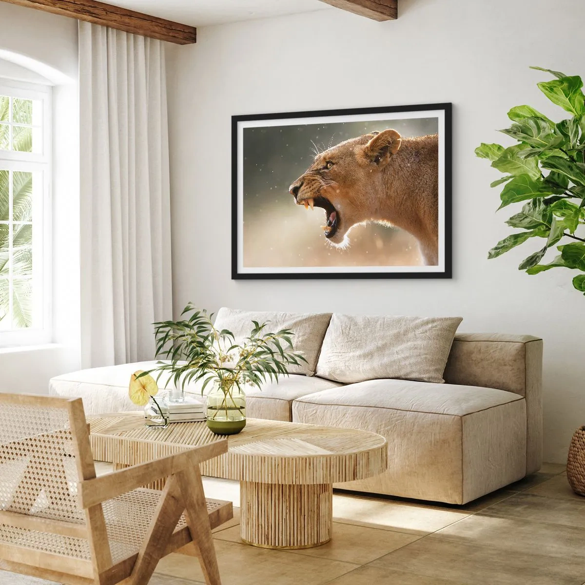 Affiche dans un cadre noir - Poster - Portrait d'une lionne rugissante à la lumière naturelle - 70x50cm - Essayez  de ne pas écouter - Décoration murale moderne pour le salon et la chambre ARTTOR