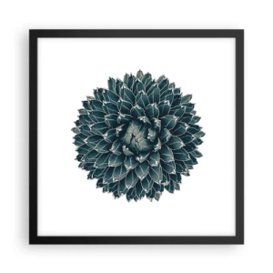 Affiche dans un cadre noir - Poster - Étoile du désert - 40x40 cm