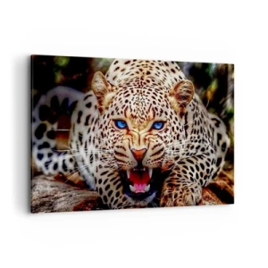 Impression sur toile - Image sur toile - Un léopard menaçant aux yeux bleus intenses - 120x80cm - La colère de la beauté ne fait pas de mal - Décoration murale moderne pour le salon et la chambre ARTTOR