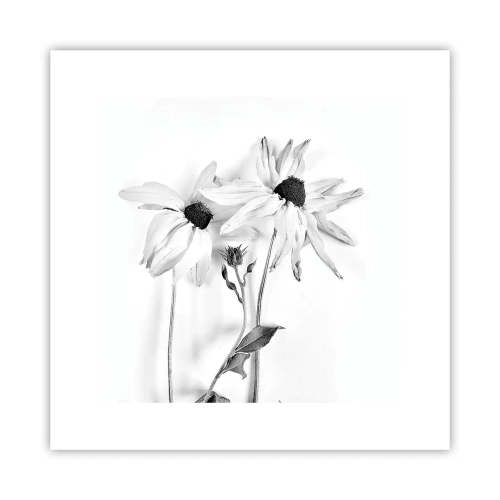 Affiche - Poster - Personne ne souhaite être seul - 30x30 cm