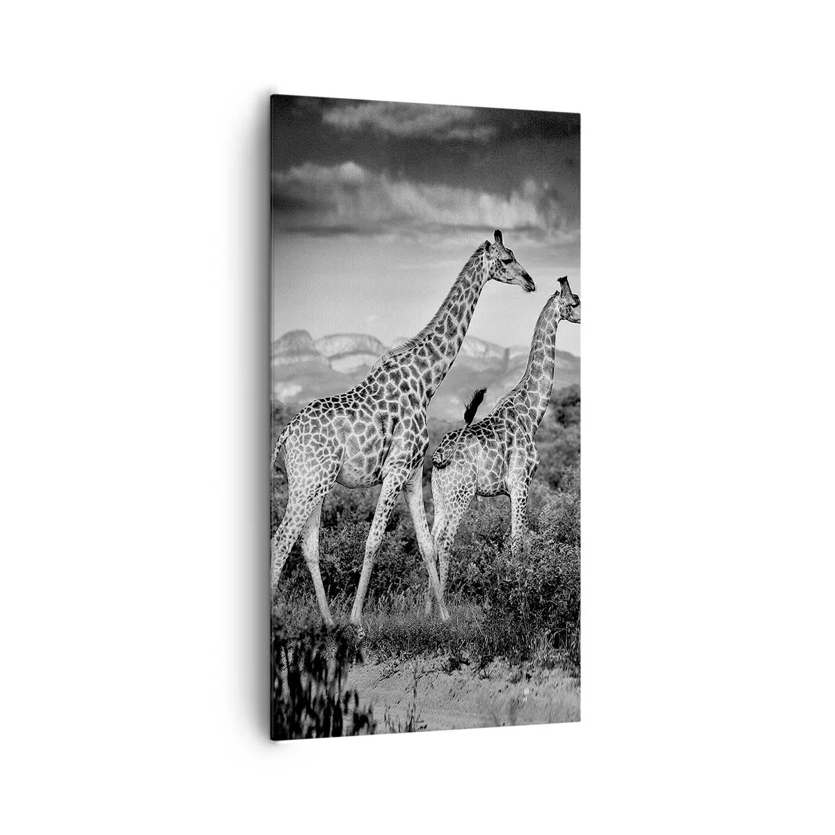 Impression sur toile - Image sur toile - Hautes sphères en Afrique - 65x120 cm