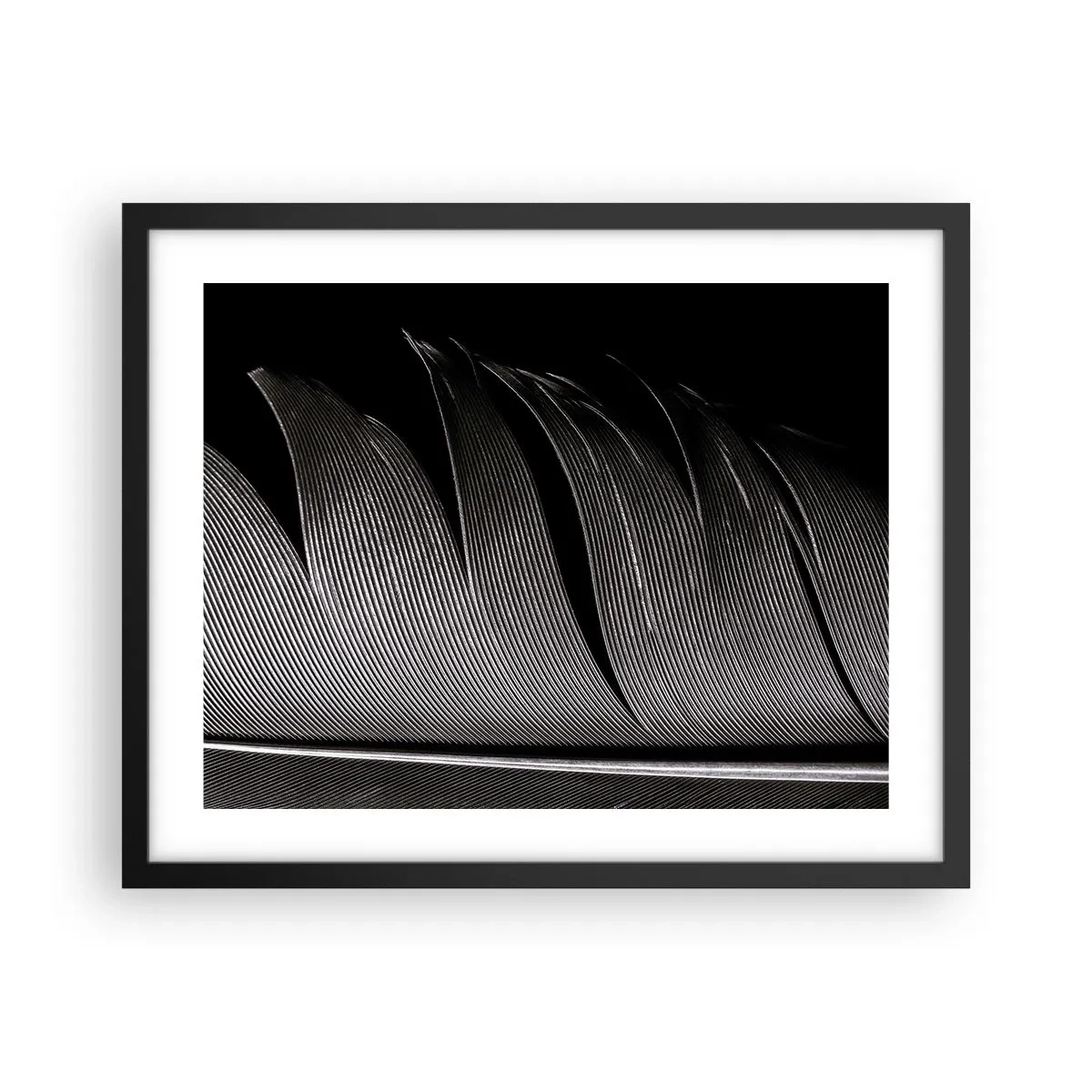 Affiche dans un cadre noir - Poster - La plume – un design magnifique - 50x40 cm