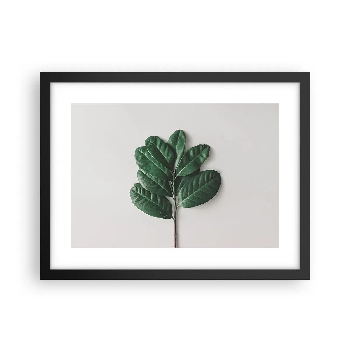 Affiche dans un cadre noir - Poster - Dessin de la nature elle-même - 40x30 cm