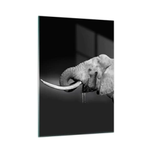 Impression sur verre - Image sur verre - Portrait noir et blanc d'un éléphant avec une trompe - 50x70cm - Oui, c'est bon maintenant - Décoration murale moderne pour le salon et la chambre ARTTOR