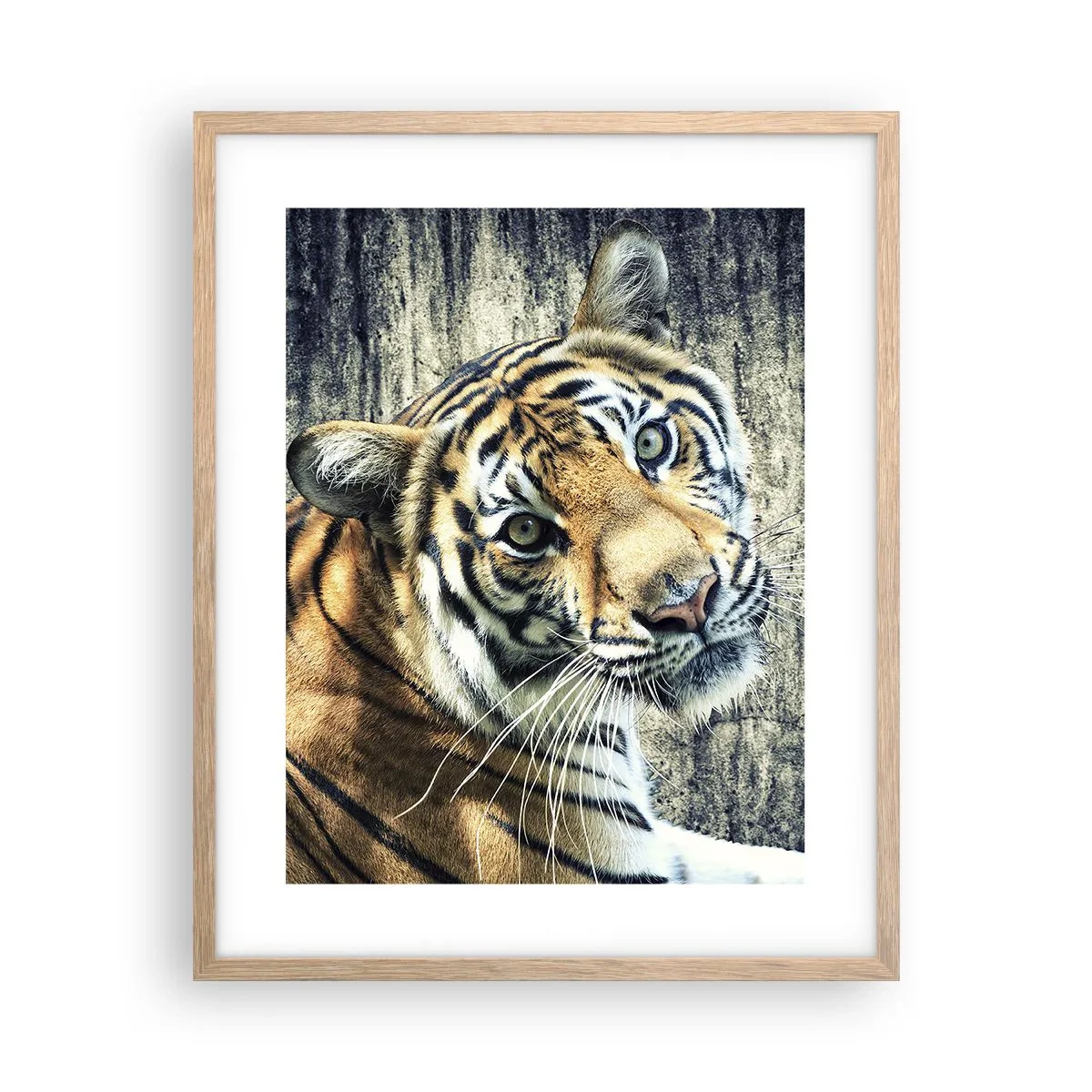 Affiche dans un chêne clair - Poster - Portrait dans les flots de lumière - 40x50 cm