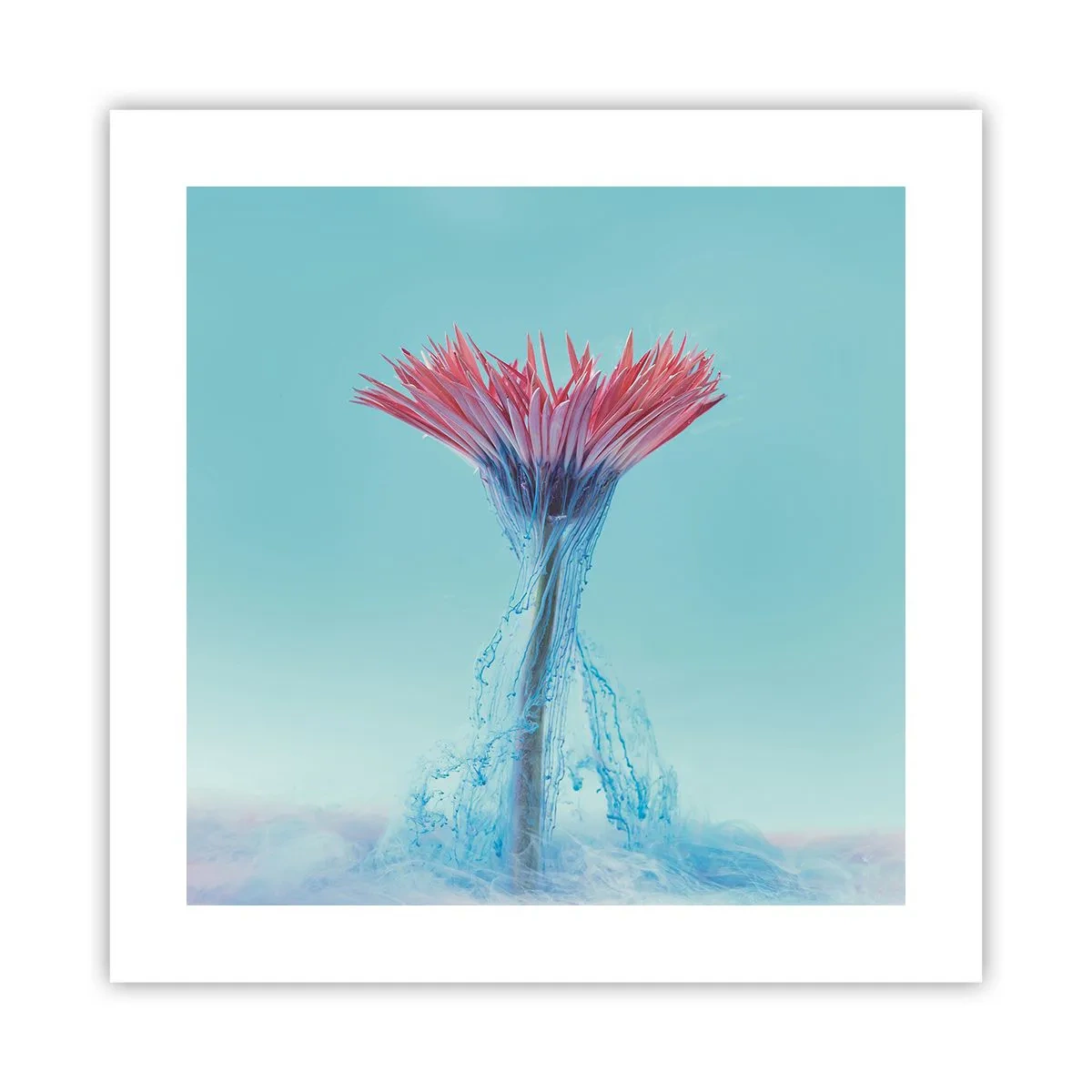 Affiche - Poster - Dans une étreinte vivifiante - 40x40 cm