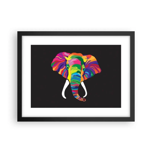 Affiche dans un cadre noir - Poster - L'éléphant qui aimait se baigner dans un arc-en-ciel - 40x30 cm