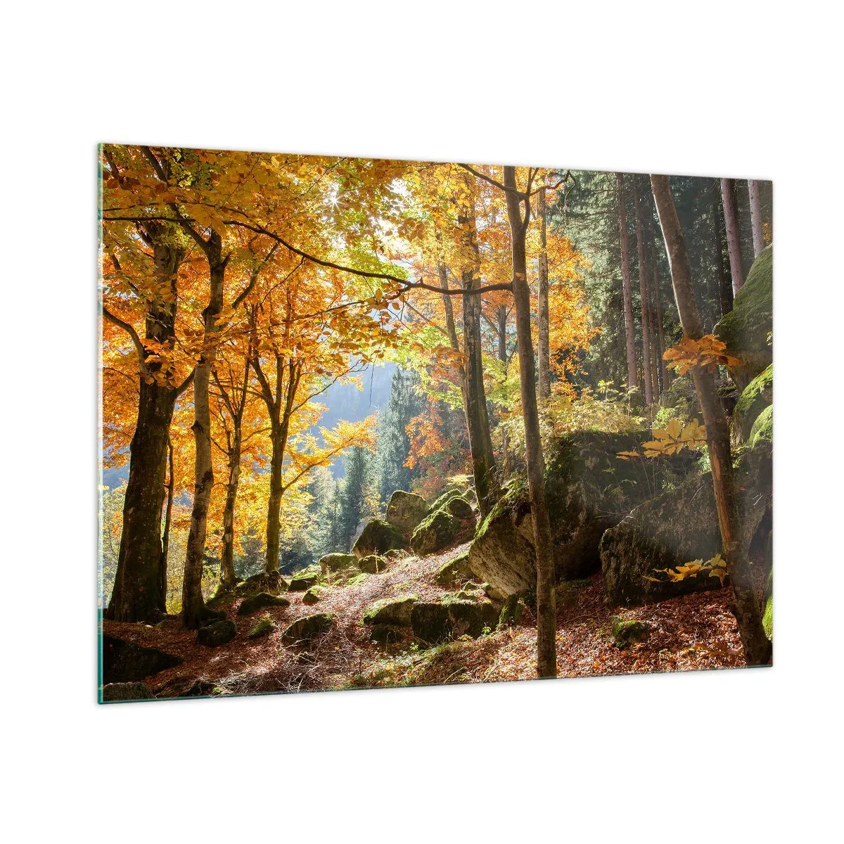 Impression sur verre - Image sur verre - Forêt d'automne avec rayons de soleil et pierres - 100x70cm - Il est temps de se détendre - Décoration murale moderne pour le salon et la chambre ARTTOR