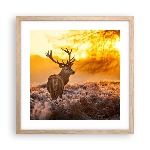 Affiche dans un chêne clair - Poster - Roi de la forêt automnal - 40x40 cm