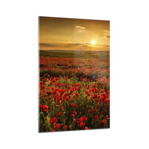 Impression sur verre - Image sur verre - Un champ de coquelicots rouges dans la lueur du soleil couchant - 70x100cm - Parmi les vagues des prairies bruissantes, parmi les fleurs du déluge - Décoration murale moderne pour le salon et la chambre ARTTOR