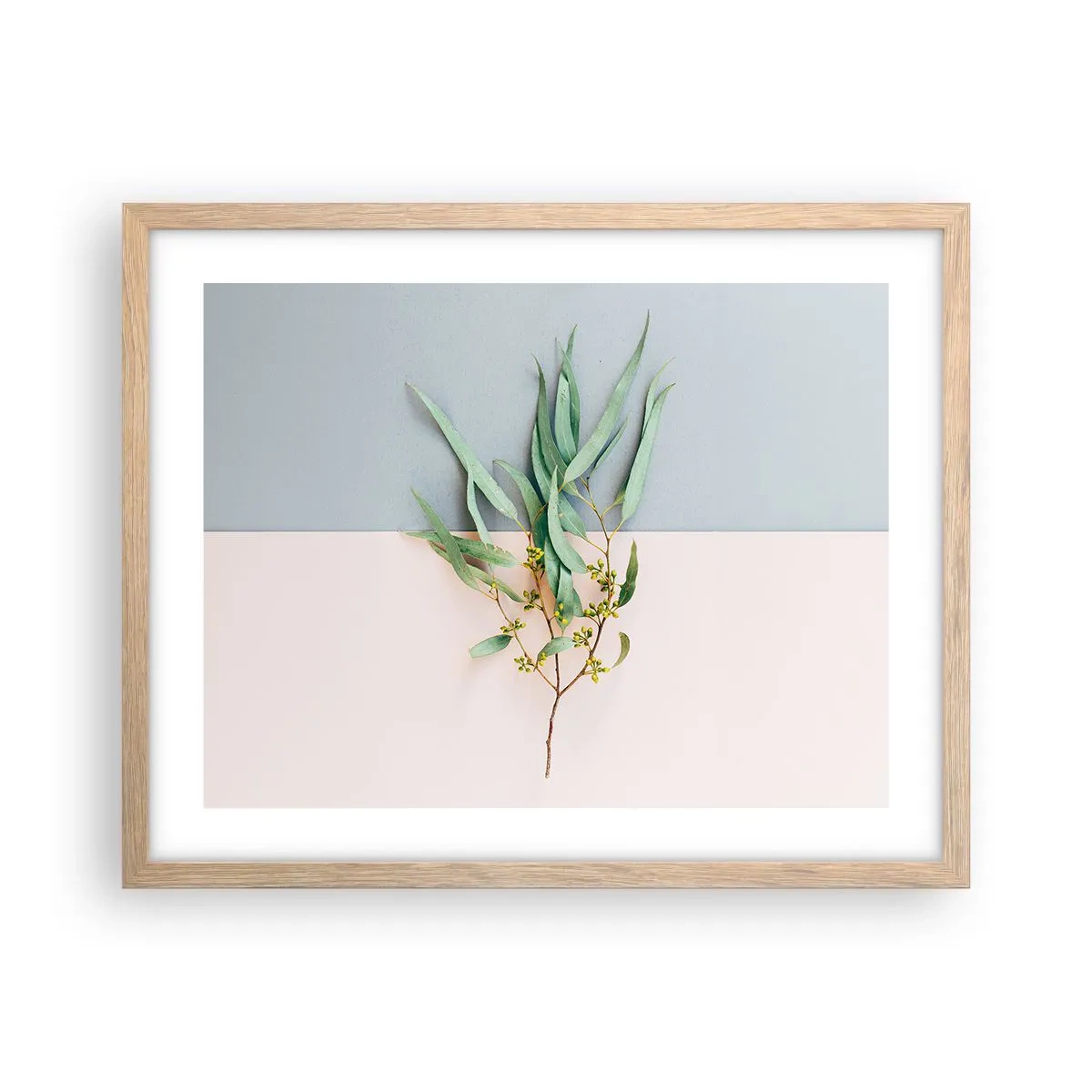 Affiche dans un chêne clair - Poster - Subtilité pastel - 50x40 cm