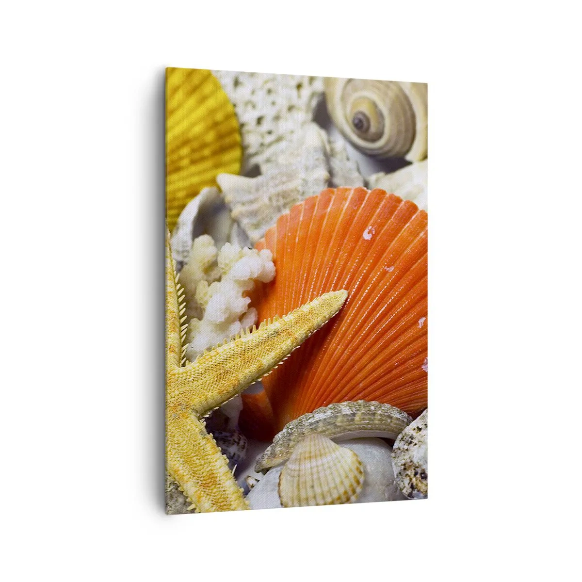 Impression sur toile - Image sur toile - Coquillages et étoiles de mer dans une composition marine - 80x120cm - Trésors de l'océan - Décoration murale moderne pour le salon et la chambre ARTTOR