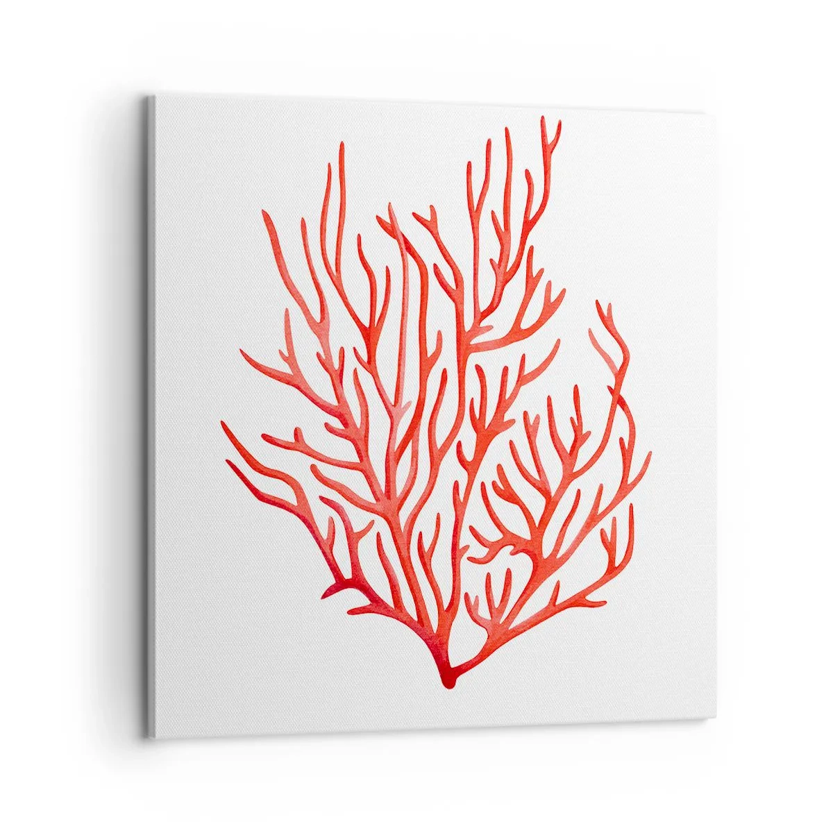 Impression sur toile - Image sur toile - Filigrane de corail - 60x60 cm