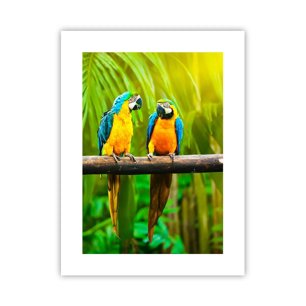 Affiche - Poster - Et avez-vous entendu qu'elle ...? - 30x40 cm
