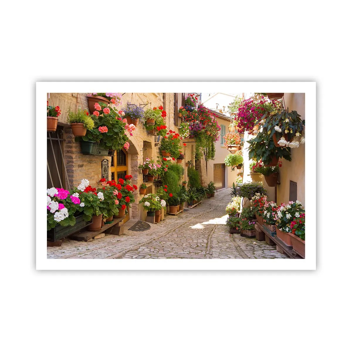 Affiche - Poster - Une inondation de fleurs - 91x61 cm