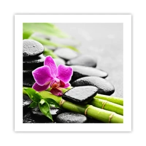 Affiche - Poster - Dans un équilibre de calme - 50x50 cm