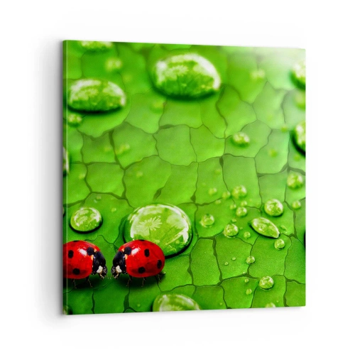 Impression sur toile - Image sur toile - Rendez-vous au vert - 60x60 cm