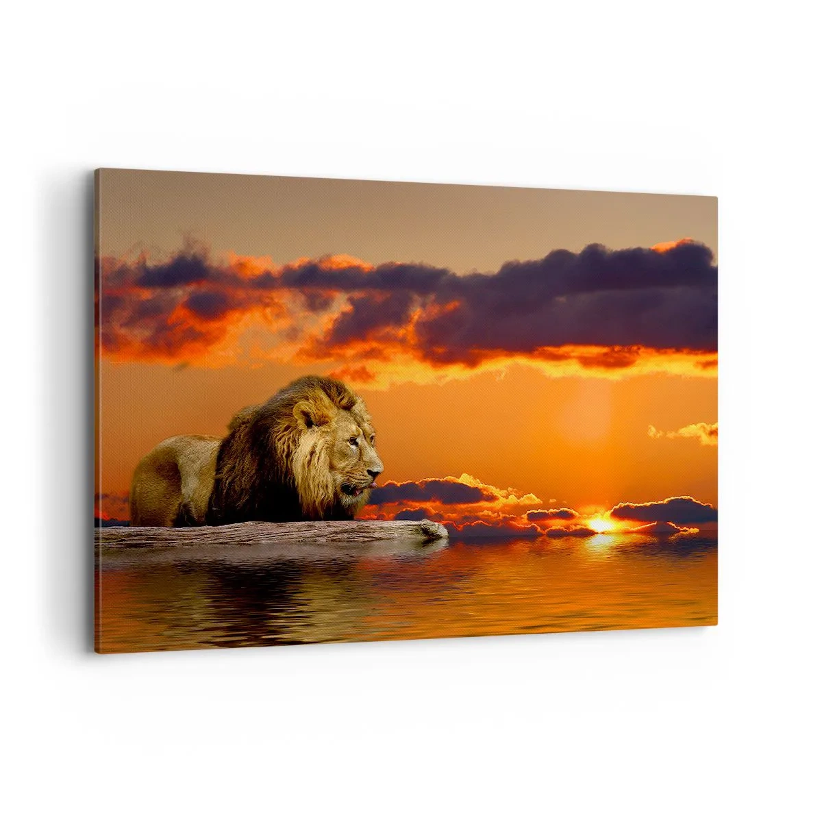 Impression sur toile - Image sur toile - Un lion se repose au bord de l'eau au coucher du soleil avec un ciel dramatique. - 120x80cm - Le roi de la nature - Décoration murale moderne pour le salon et la chambre ARTTOR