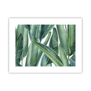 Affiche - Poster - La nature face à elle-même - 40x30 cm