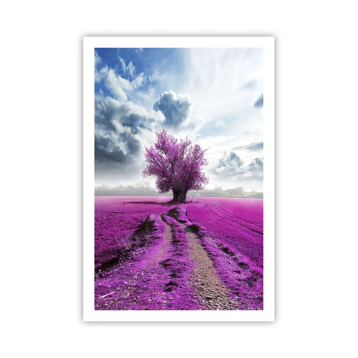 Affiche - Poster - Lande - nature sauvage - 61x91 cm