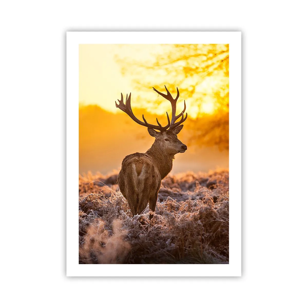 Affiche - Poster - Un cerf sur fond de lever de soleil doré - 50x70cm - Roi de la forêt automnal - Décoration murale moderne pour le salon et la chambre ARTTOR