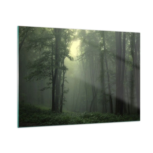 Impression sur verre - Image sur verre - Une forêt sombre enveloppée de brouillard avec des rayons de lumière - 100x70cm - Avant qu'il ne se réveille - Décoration murale moderne pour le salon et la chambre ARTTOR