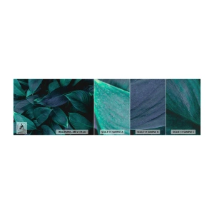 Échantillon de Papier Peint Premium Canvas - le vert lui-même - Feuilles, Nature, Botanique - 100x30 cm