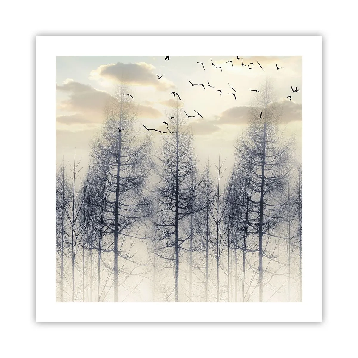 Affiche - Poster - L'âme de la forêt - 50x50 cm