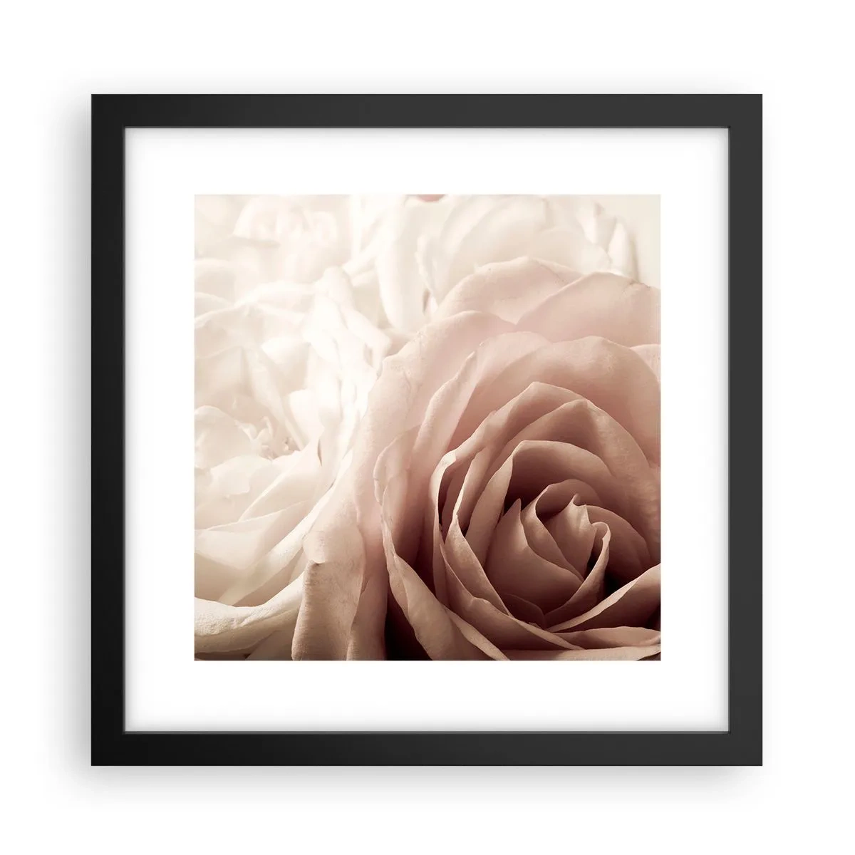 Affiche dans un cadre noir - Poster - Au coeur d'ue la rose - 30x30 cm
