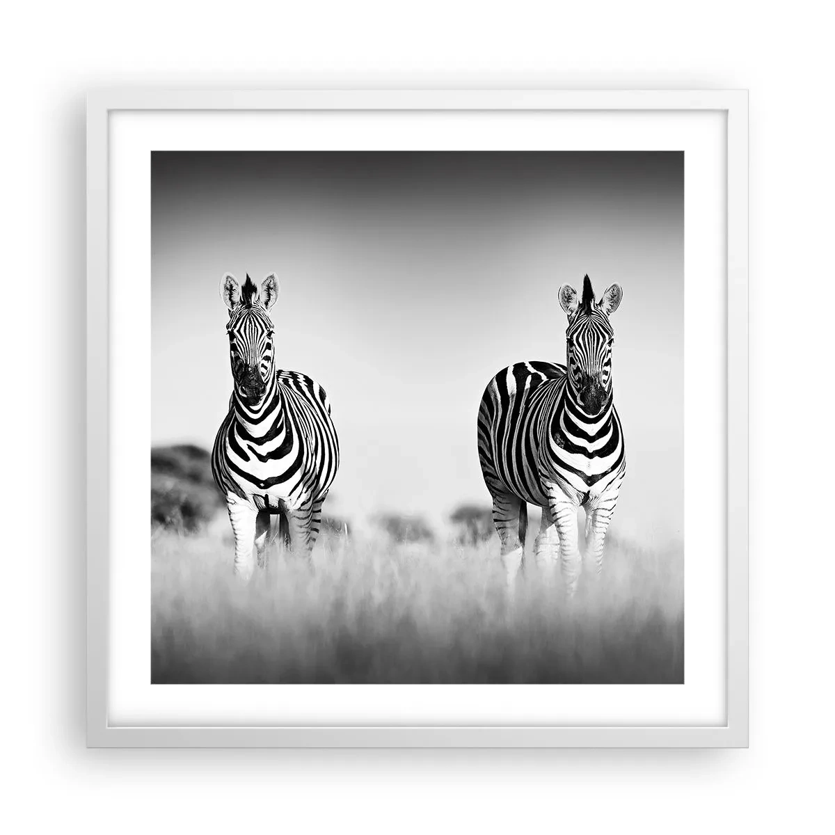 Affiche dans un cadre blanc - Poster - Le monde est bel et bien noir et blanc - 50x50 cm