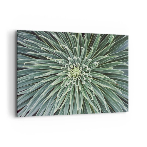 Impression sur toile - Image sur toile - Disposition symétrique de feuilles vertes ressemblant à une étoile - 120x80cm - Naissance d'une étoile - Décoration murale moderne pour le salon et la chambre ARTTOR