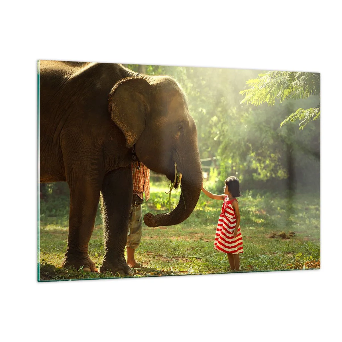 Impression sur verre - Image sur verre - Une fille en robe rouge touchant un éléphant dans la forêt. - 120x80cm - La force de l'amitié - Décoration murale moderne pour le salon et la chambre ARTTOR