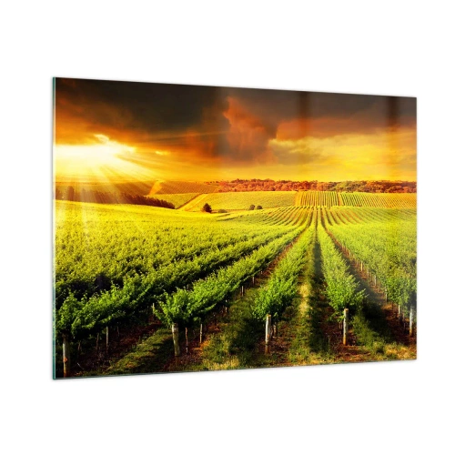 Impression sur verre - Image sur verre - Vignoble à la lumière du soleil couchant - 100x70cm - Sous le soleil australien - Décoration murale moderne pour le salon et la chambre ARTTOR