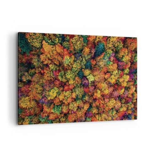 Impression sur toile - Image sur toile - Couronnes d'arbres colorées dans la palette d'automne - 120x80cm - Bouquet d'arbres automnal - Décoration murale moderne pour le salon et la chambre ARTTOR