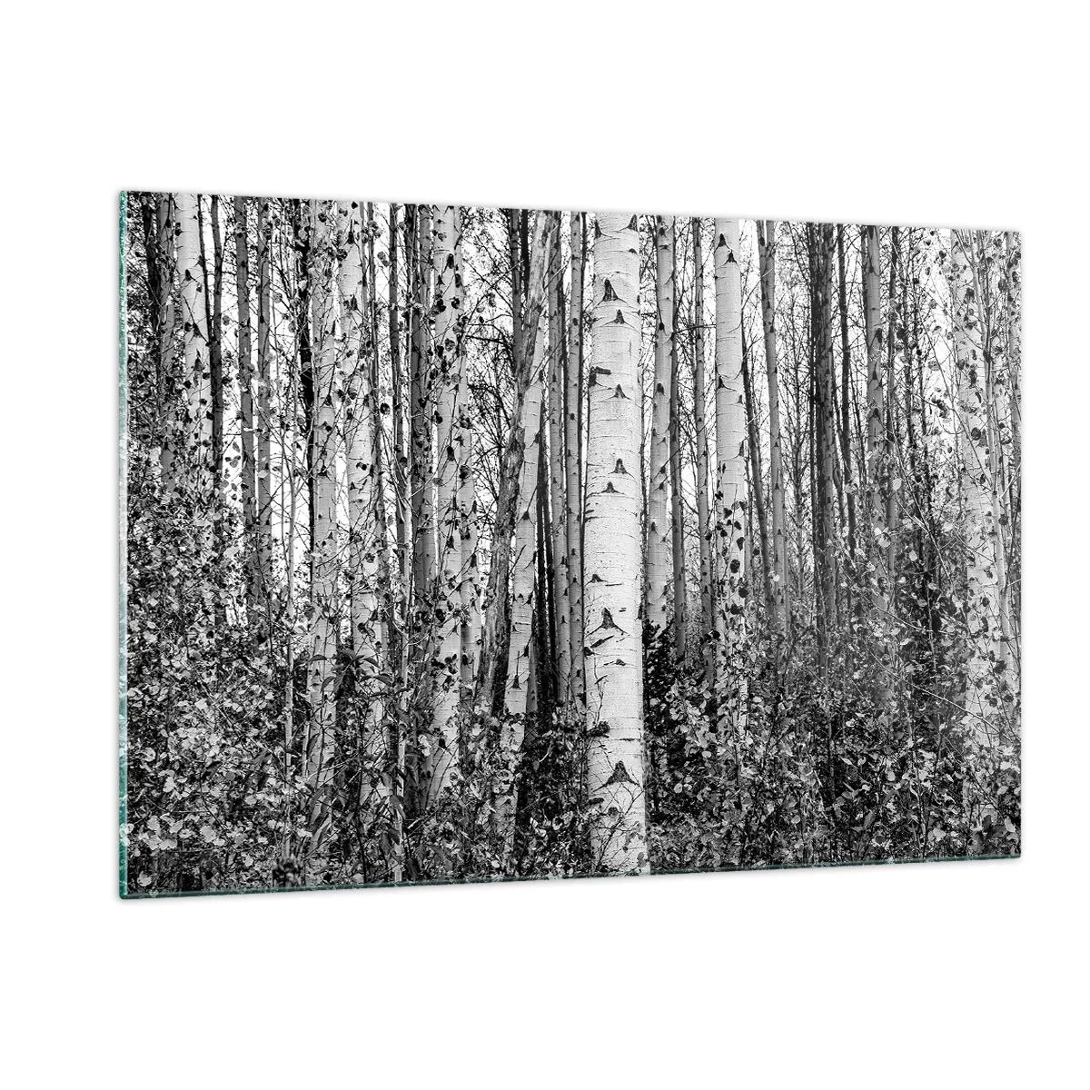 Impression sur verre - Image sur verre - Les bouleaux noirs et blancs créent un paysage forestier dense - 120x80cm - Enchevêtrement de bouleau - Décoration murale moderne pour le salon et la chambre ARTTOR