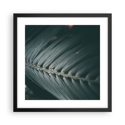Affiche dans un cadre noir - Poster - Précision de la nature - 40x40 cm