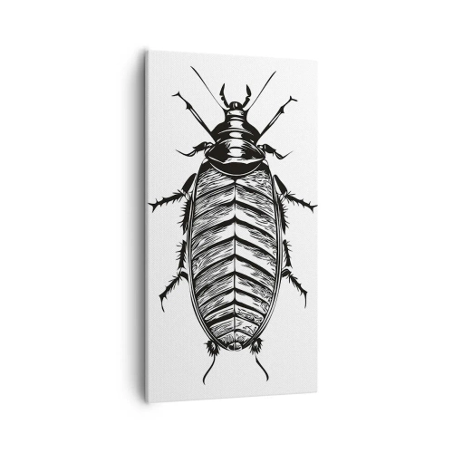 Impression sur toile - Image sur toile - Quel spécimen! - 55x100 cm