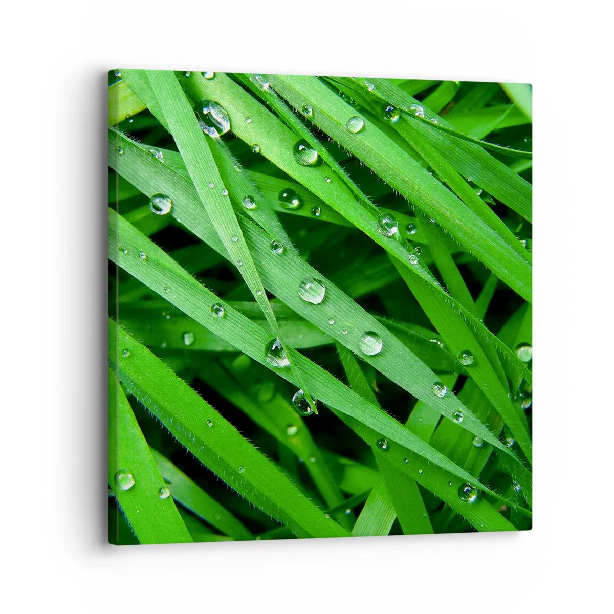 Impression sur toile - Image sur toile - Jouez dans le vert - 30x30 cm