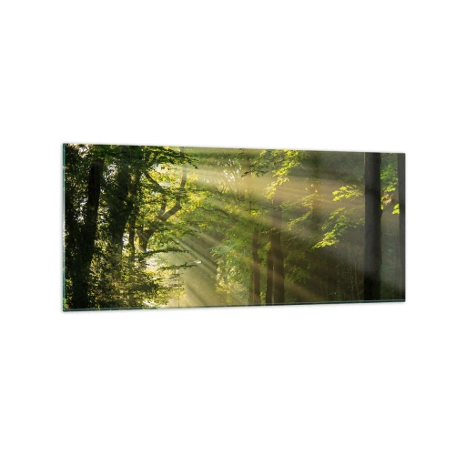 Impression sur verre - Image sur verre - Chemin forestier avec les rayons du soleil qui brillent à travers les arbres - 120x50cm - Moment de forêt - Décoration murale moderne pour le salon et la chambre ARTTOR