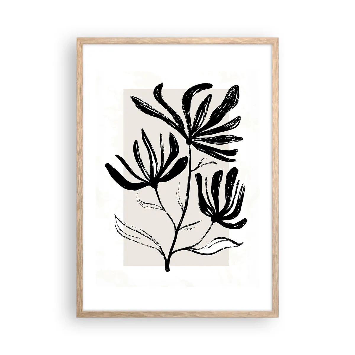 Affiche dans un chêne clair - Poster - Esquisse pour l'herbier - 50x70 cm