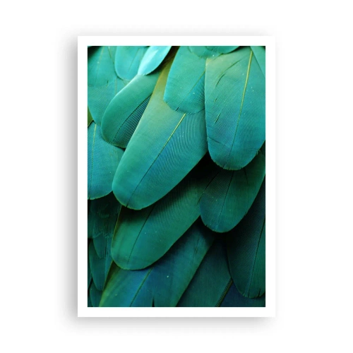 Affiche - Poster - Perfection de la nature du perroquet - 70x100 cm