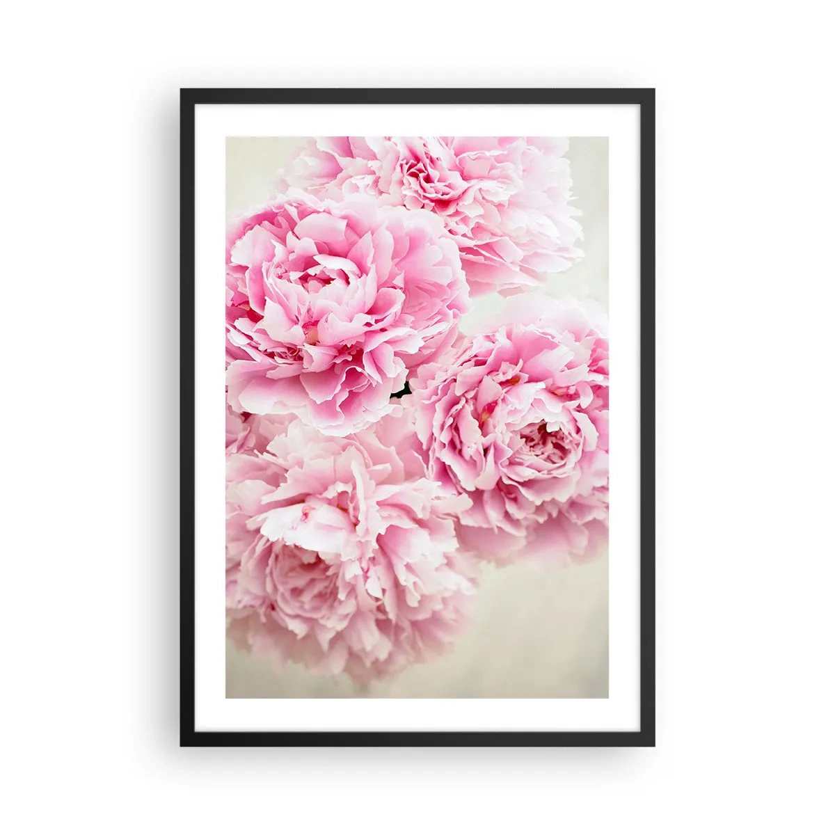 Affiche dans un cadre noir - Poster - Un bouquet de pivoines roses sur fond clair - 50x70cm - En glamour rose - Décoration murale moderne pour le salon et la chambre ARTTOR