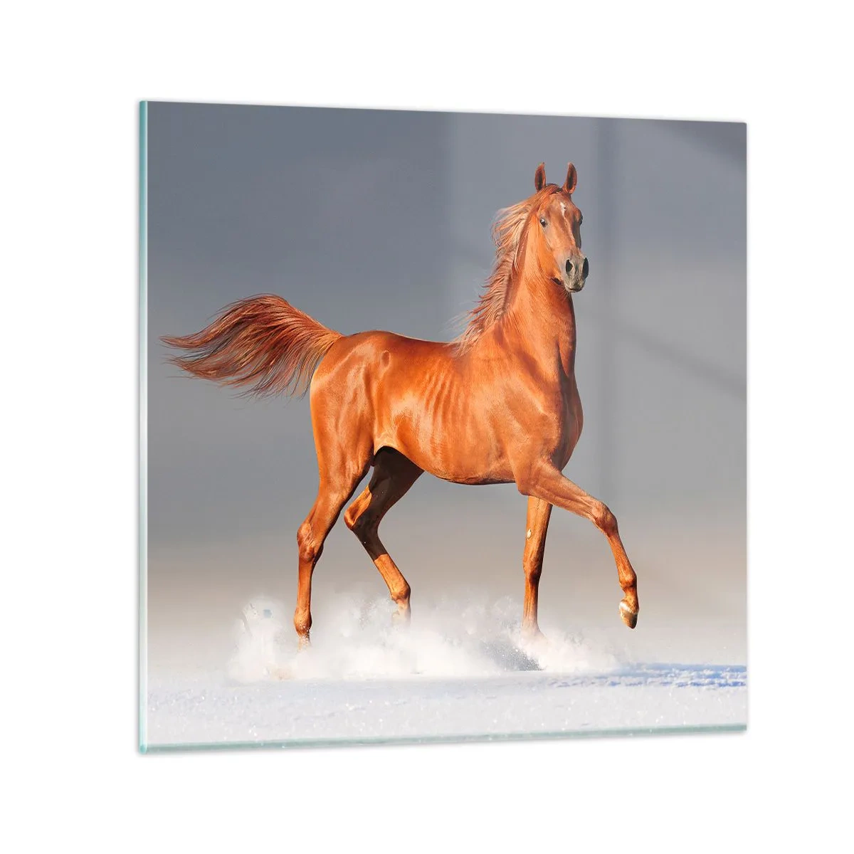 Impression sur verre - Image sur verre - La grâce dansante - 70x70 cm