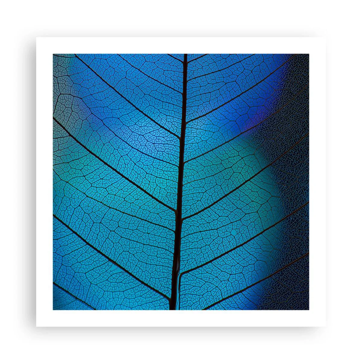 Affiche - Poster - Construction complexe - 60x60 cm