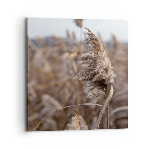 Impression sur toile - Image sur toile - Il est temps de s'envoler avec le vent - 70x70 cm