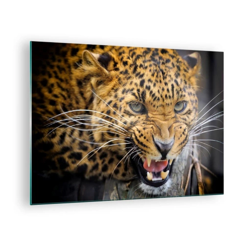 Impression sur verre - Image sur verre - Gros plan d'un léopard agressif avec des détails clairs - 70x50cm - Reste en retrait, je te préviens ! - Décoration murale moderne pour le salon et la chambre ARTTOR