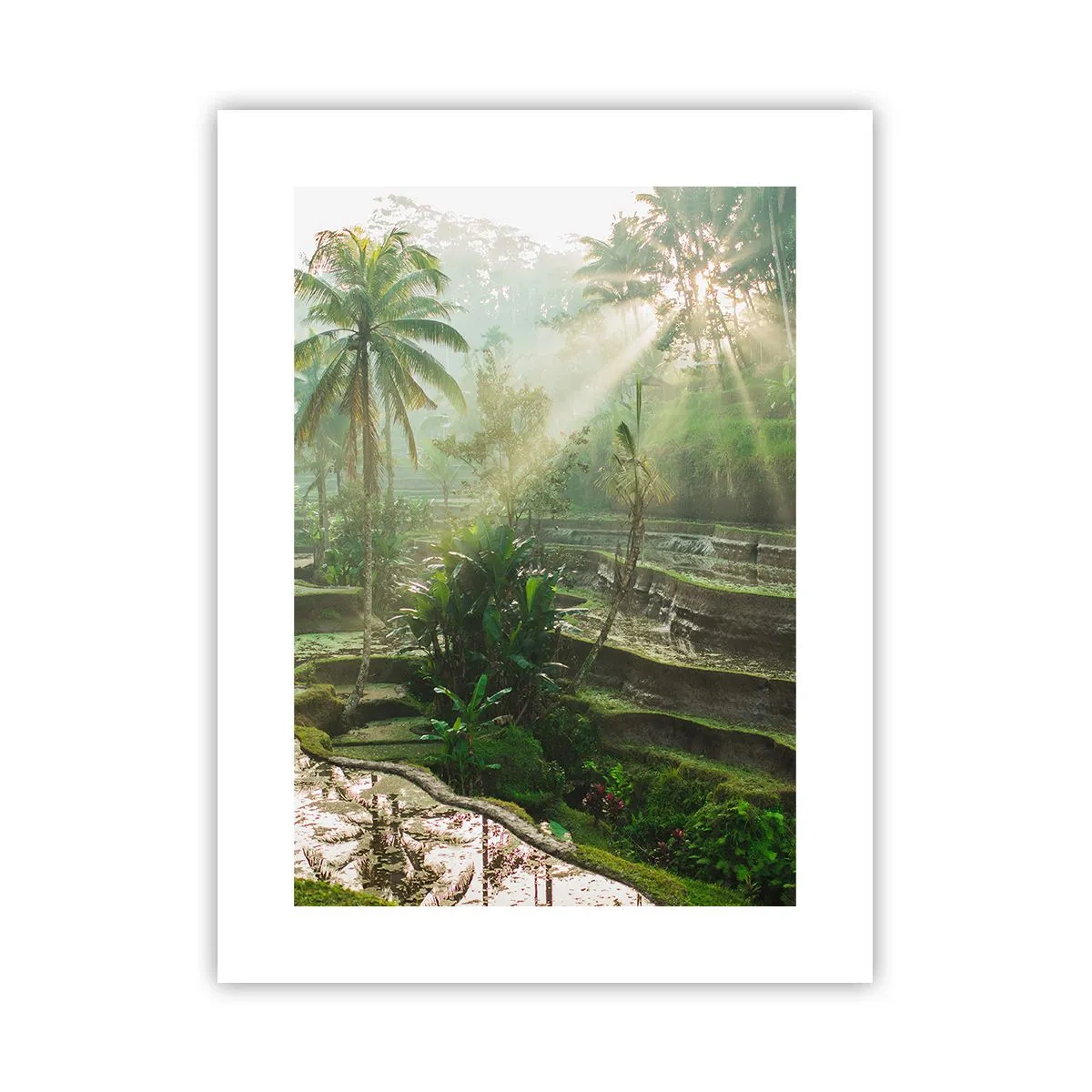 Affiche - Poster - Grandir au soleil - 30x40 cm