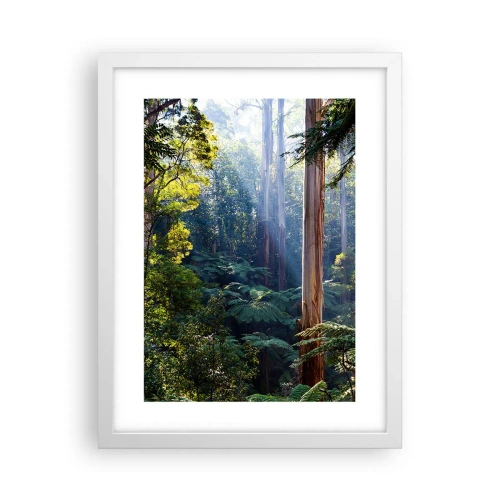 Affiche dans un cadre blanc - Poster - Fable de la forêt - 30x40 cm