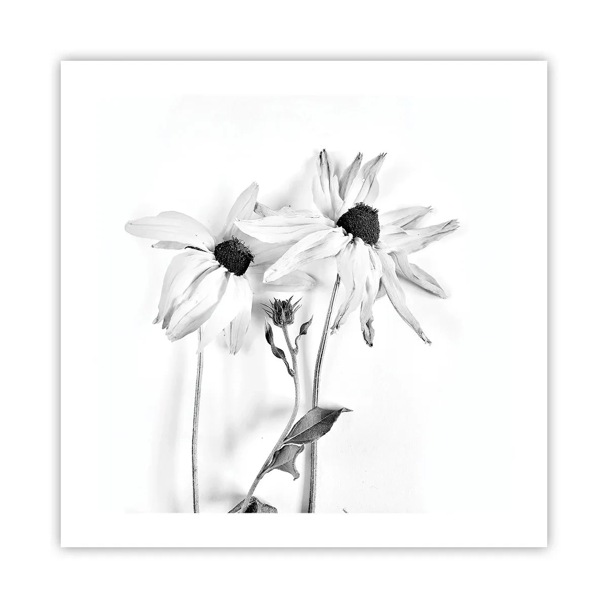 Affiche - Poster - Personne ne souhaite être seul - 50x50 cm