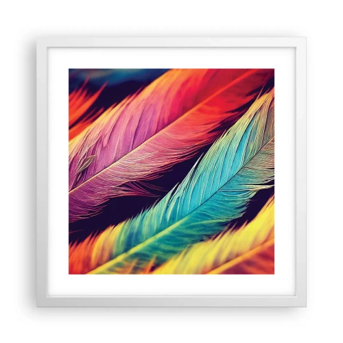 Affiche dans un cadre blanc - Poster - Arc-en-ciel de plumes - 40x40 cm